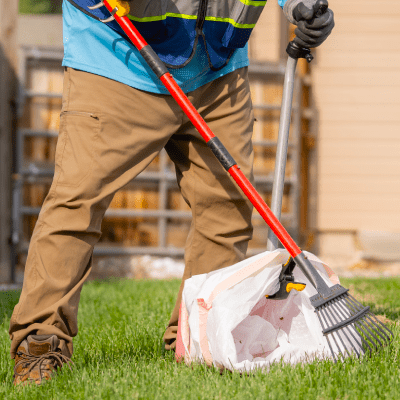 Pet Waste Removal